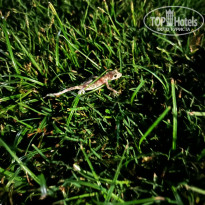 фото из отзыва ID 2708277