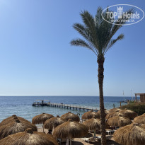 фото из отзыва ID 2708248