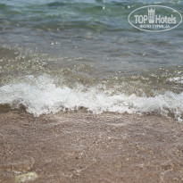 фото из отзыва ID 2708248