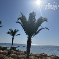 фото из отзыва ID 2708248