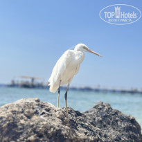 фото из отзыва ID 2708248