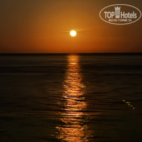 фото из отзыва ID 2708248