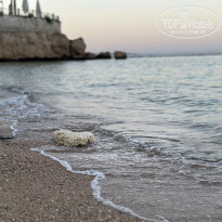 фото из отзыва ID 2708248