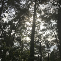 фото из отзыва ID 2708325