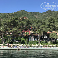 фото из отзыва ID 2708325