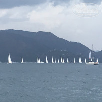 фото из отзыва ID 2708325