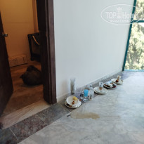 фото из отзыва ID 2708331