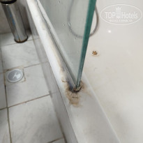 фото из отзыва ID 2708331