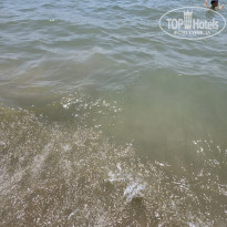 фото из отзыва ID 2708351