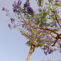 фото из отзыва ID 2708366