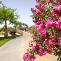 фото из отзыва ID 2708366