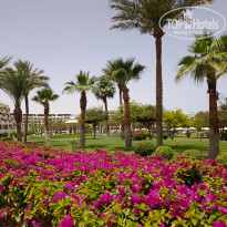 фото из отзыва ID 2708366