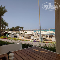 фото из отзыва ID 2708366