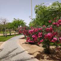 фото из отзыва ID 2708366