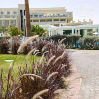 фото из отзыва ID 2708366