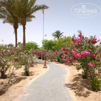 фото из отзыва ID 2708366