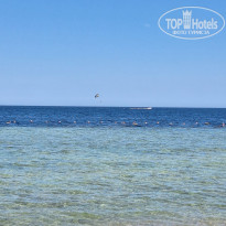 фото из отзыва ID 2708380