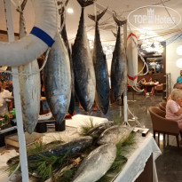 фото из отзыва ID 2708386