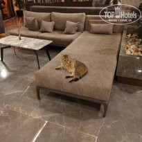 фото из отзыва ID 2708386