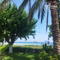 фото из отзыва ID 2708439