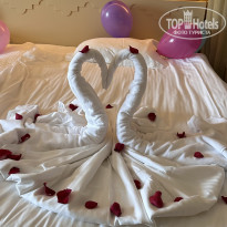 фото из отзыва ID 2708451