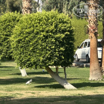 фото из отзыва ID 2708337