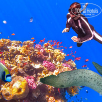 фото из отзыва ID 2702440