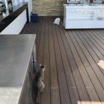 фото из отзыва ID 2704545