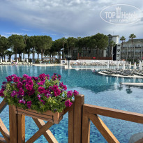 фото из отзыва ID 2708564