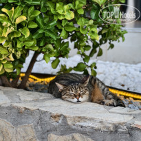 фото из отзыва ID 2708601