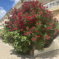 фото из отзыва ID 2708627