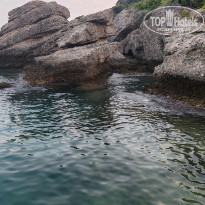 фото из отзыва ID 2705837