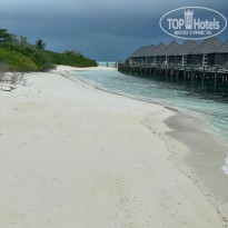 фото из отзыва ID 2708664