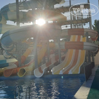 фото из отзыва ID 2708655