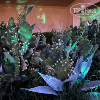 фото из отзыва ID 2707510