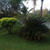 фото из отзыва ID 2707072