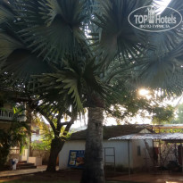 фото из отзыва ID 2707072