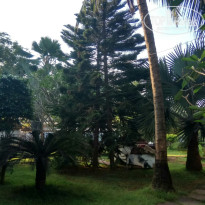 фото из отзыва ID 2707072