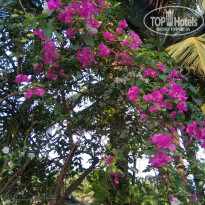 фото из отзыва ID 2707072