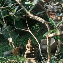 фото из отзыва ID 2707072