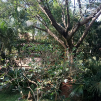 фото из отзыва ID 2707072