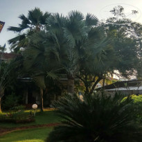 фото из отзыва ID 2707072