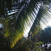 фото из отзыва ID 2707072