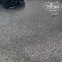 фото из отзыва ID 2708773