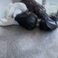 фото из отзыва ID 2708773