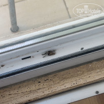 фото из отзыва ID 2708773