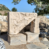 фото из отзыва ID 2708775