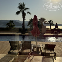 фото из отзыва ID 2708788