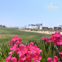 фото из отзыва ID 2708826