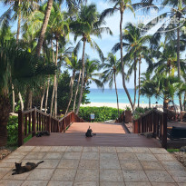 фото из отзыва ID 2700667